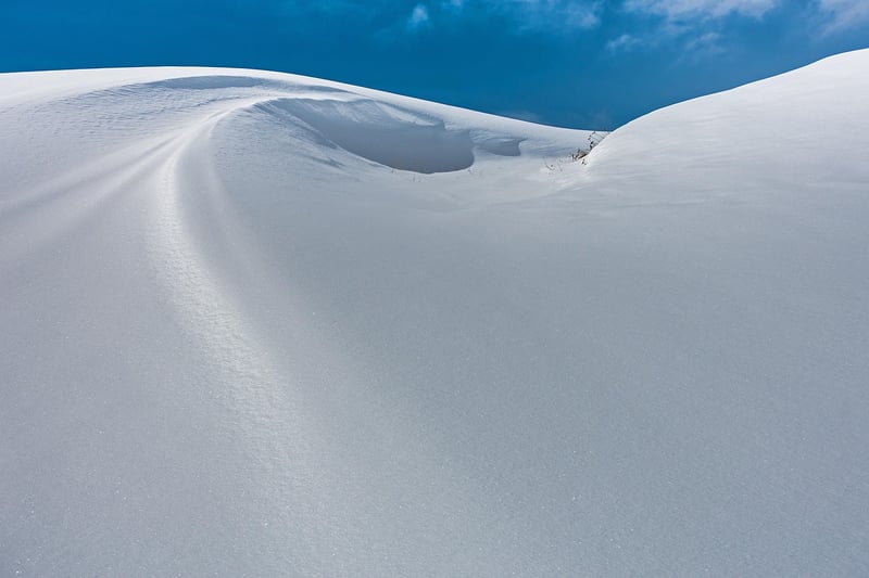 Winter Wonderland